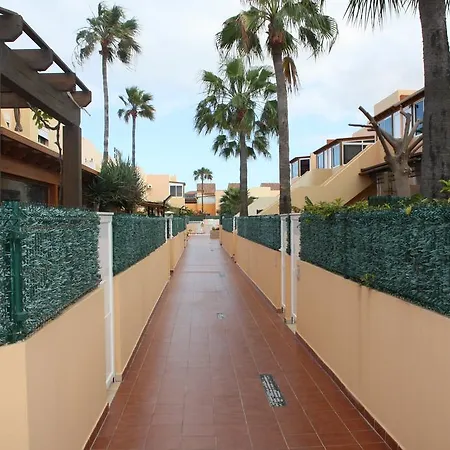 Anju Delfines Bravo's *