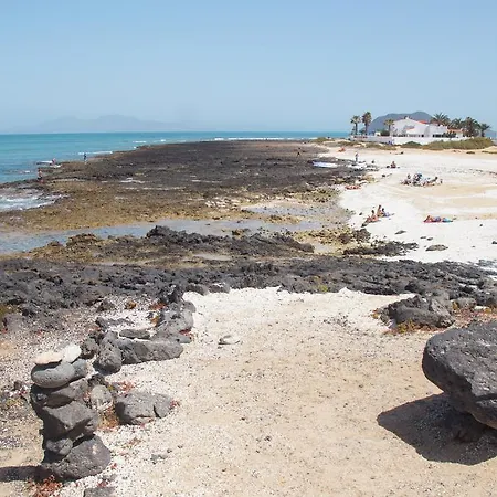 Anju Delfines Bravo's *