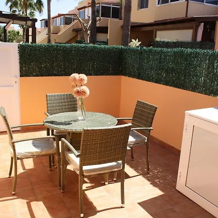 Anju Delfines Bravo's *