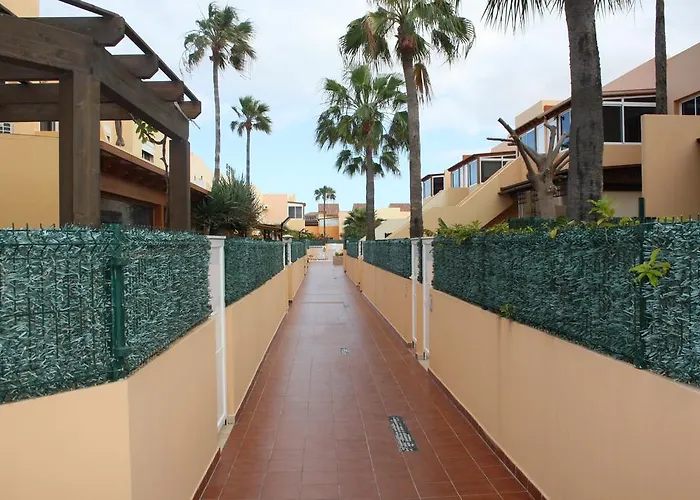 Anju Delfines Bravo's *