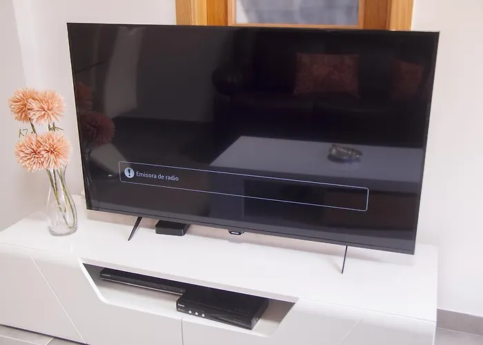 Anju Delfines Bravo's