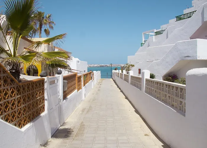 Anju Delfines Bravo's كوراليهو